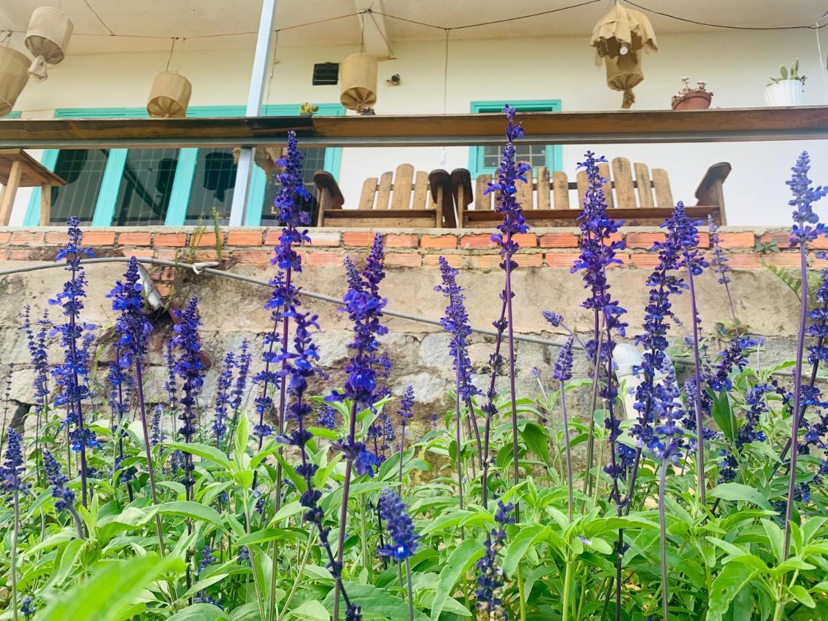 Tháng Năm Rực Rỡ - Dalat Homestay Da Lat Exterior foto