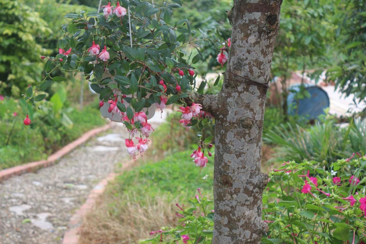 Tháng Năm Rực Rỡ - Dalat Homestay Da Lat Exterior foto