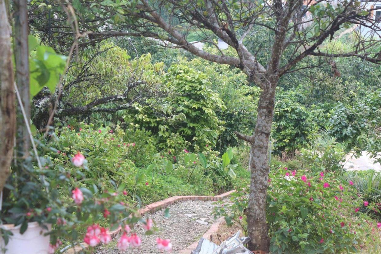 Tháng Năm Rực Rỡ - Dalat Homestay Da Lat Exterior foto